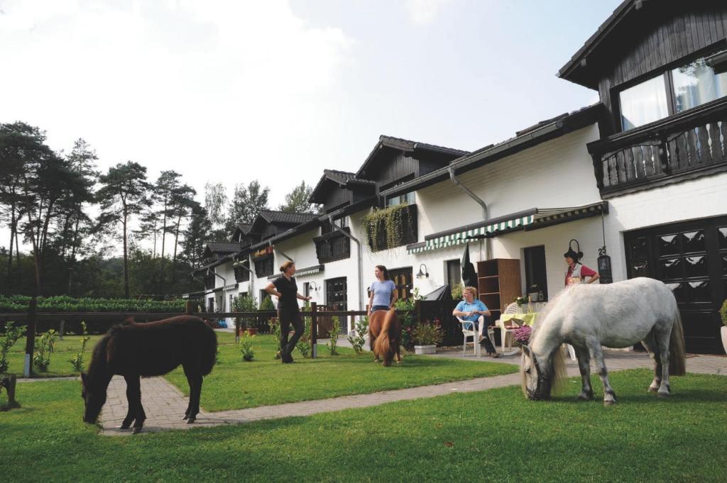 ลันด์โฮเทล ลินเดิน อัม เฟเนโคเทนเซ Hotel Niederkruechten ภายนอก รูปภาพ