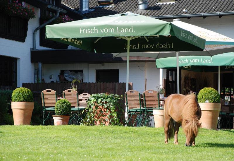 ลันด์โฮเทล ลินเดิน อัม เฟเนโคเทนเซ Hotel Niederkruechten ภายนอก รูปภาพ